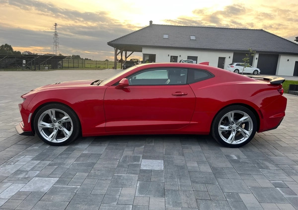 Chevrolet Camaro cena 157000 przebieg: 6100, rok produkcji 2021 z Turek małe 596